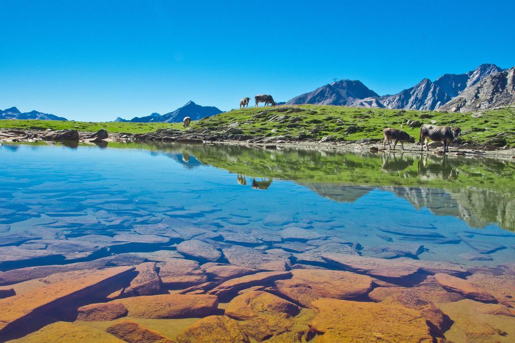 Apart Auszeit Зёльден Экстерьер фото